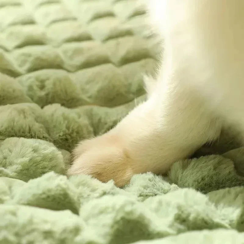 CalmPaws – Orthopedic Anti-Stress Bed