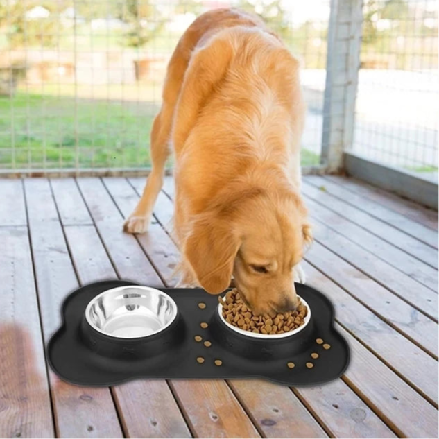 Anti-Slip Double Dog Bowl with Silicone Mat